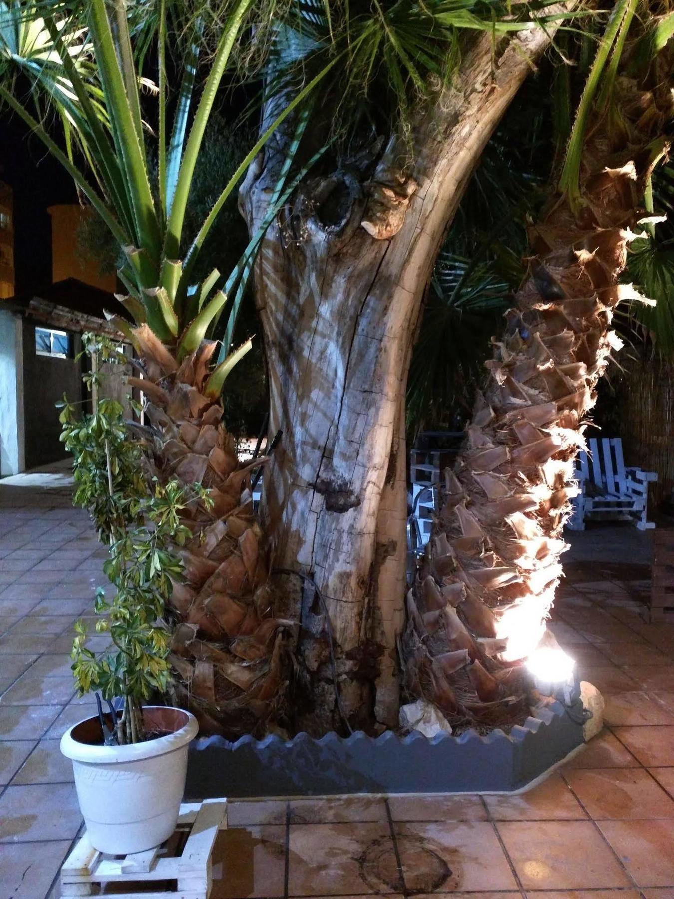 Nwt Paradise Urban Hostel Alicante Luaran gambar